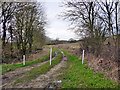 Track towards Goldingham Hall