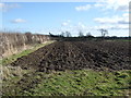 Field and hedgerow