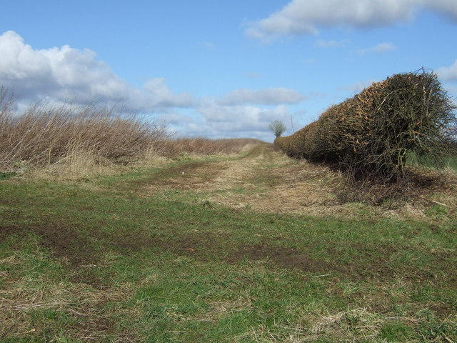 Farm track off the A166