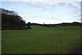 Field below Godlingston Hill