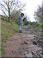 Footpath from Hall Farm to Prescot Road