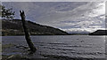 Dead tree and Loch Pityoulish