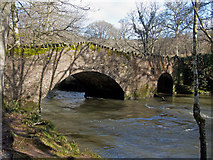 SS7213 : Leigh Bridge on the Little Dart River as seen from downstream by Roger A Smith