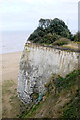 Cliff at Kingsgate Bay