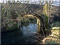 The upstream side of New Bridge on the Little Dart River