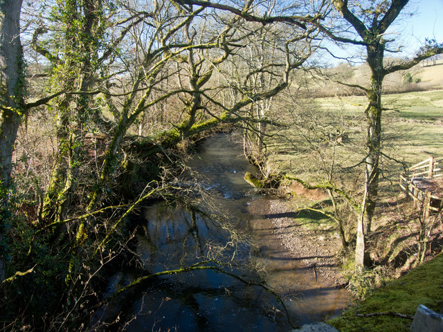 Looking down the Little Dart River from New Bridge