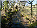 Looking down the Little Dart River from New Bridge