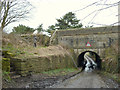 Culvert Lane, Newburgh