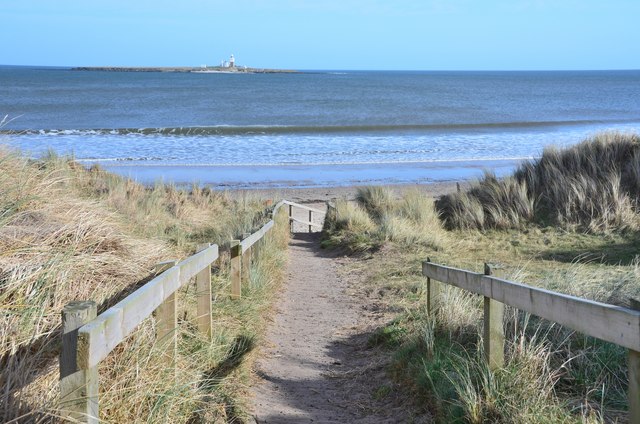 Path from the beach
