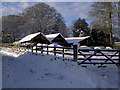 Wood yard at Scawby Hall