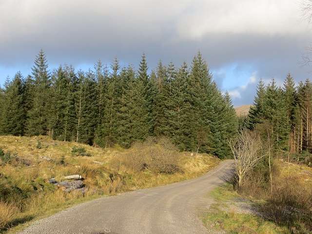 Logging road, Glen Duror