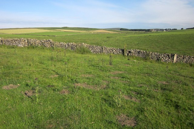 Wall near the Limestone Way