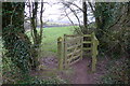 Gate out of Beech Covert