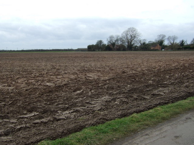 Field near Summer Croft Farm
