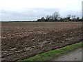 Field near Summer Croft Farm