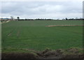 Crop field east of Epworth Road (A161)