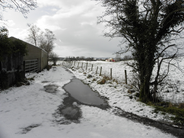 Lane, Tattynagole © Kenneth Allen cc-by-sa/2.0 :: Geograph Ireland