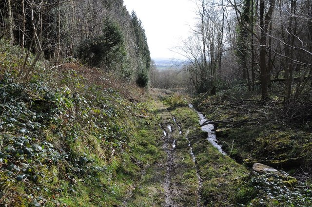 Footpath through Burghope Wood