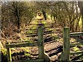 Stile and Path off Newgate Road