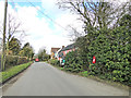 Almost secret postbox in a hedge