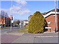 Bone Mill Lane View