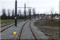 SK5337 : NET tram tracks by David Lally