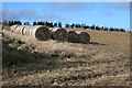 Straw Bales