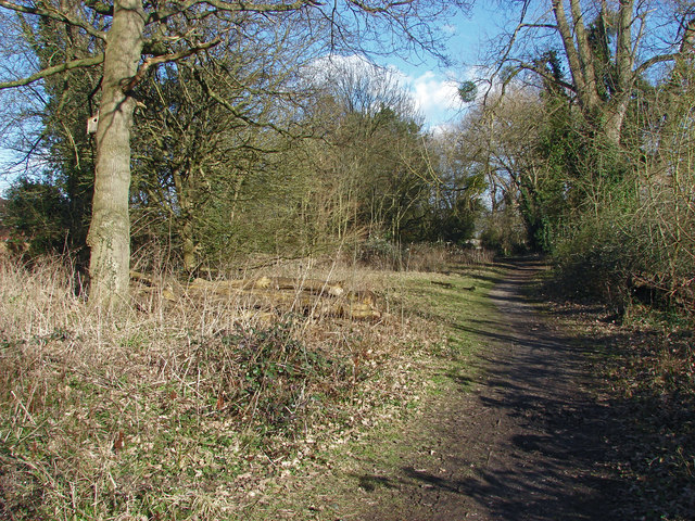 Path by the River Ash © Alan Hunt cc-by-sa/2.0 :: Geograph Britain and ...