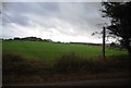 Footpath across a field