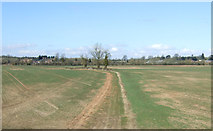 SO9261 : Farmland near Hay Lane Farm by JThomas