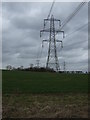 Crop field and pylons