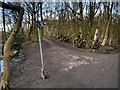 SJ8280 : Bridlepath Junction, Lindow Moss by David Dixon