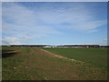 SK5479 : Footpath towards Netherthorpe Airfield by John Slater