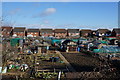 Allotments off Leads Road, Hull