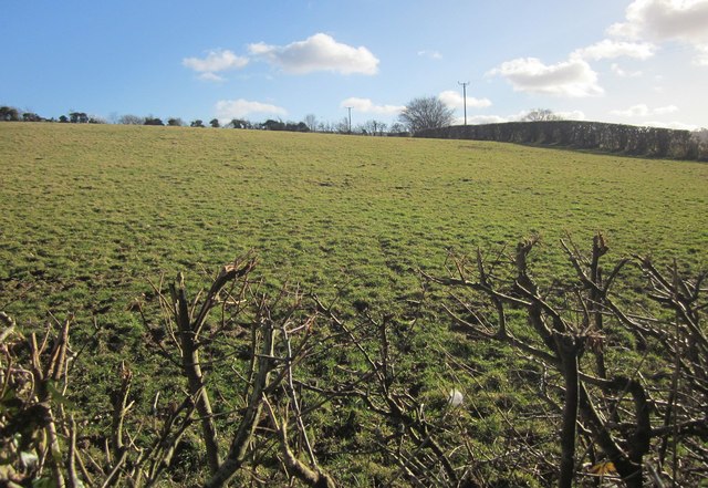 Field near Latchleyplain Farm