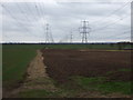 Fields and pylons