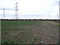 Crop fields and pylons