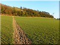 Farmland, Saunderton