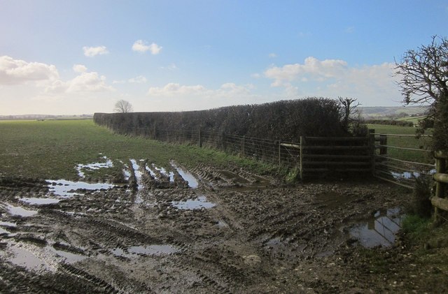 Field boundary by the B3257