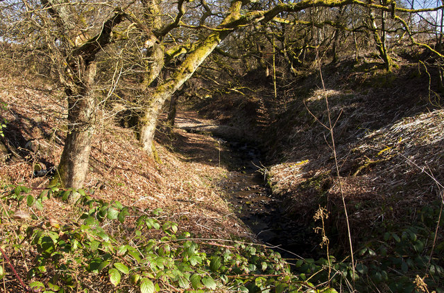 A stream at Raikes, off Tottington Road