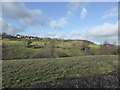 Looking towards Cefn Castell