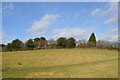 SJ7951 : Audley: field near New Farm by Jonathan Hutchins