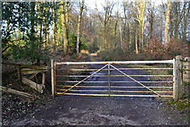 SU2809 : Gate to private track by David Martin
