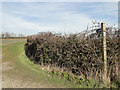 Footpath to Brabling Green from the B1119