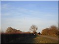 Approaching the road junction near Springfield Farm