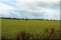 Farmland near Ty - Croes