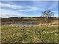 Keele: pool in field near the bypass