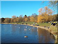 Highgate Ponds, Hampstead Heath