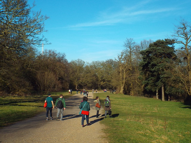 Path on Hampstead Heath