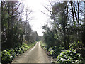 Descent on High House Farm Road